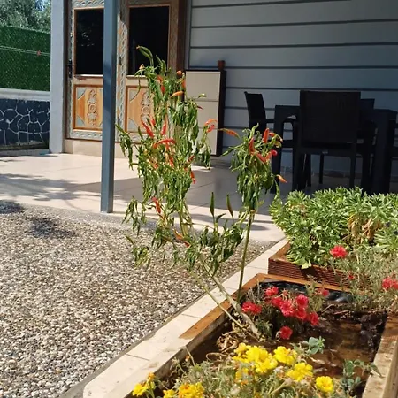 Duranapart Üdülőpark *